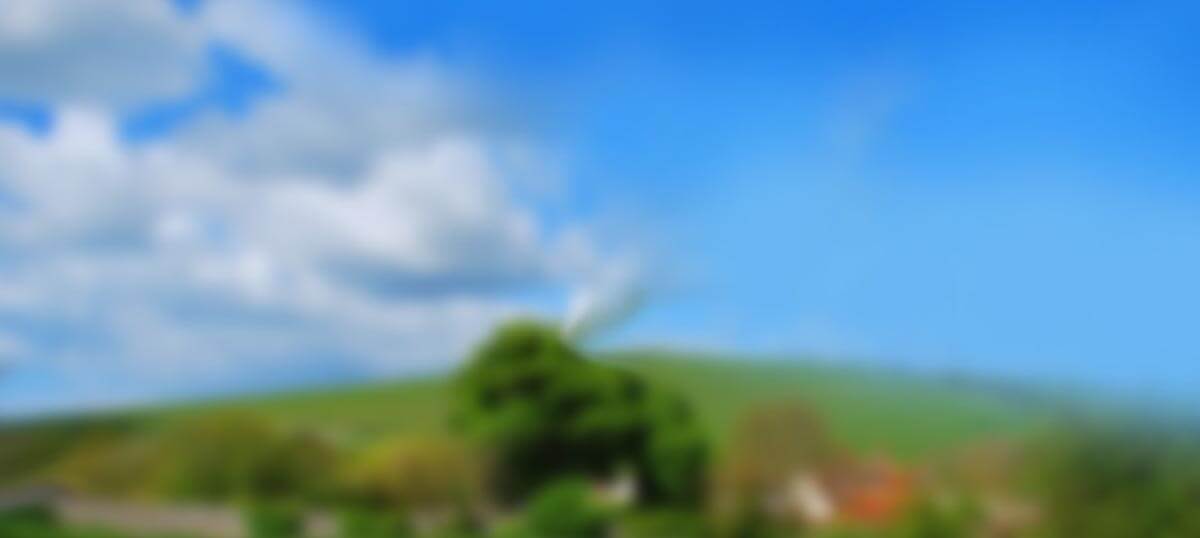sensi sky and grass backgroun sensi sky and grass backgroun