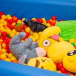 Ballpool and Soft Toy Play