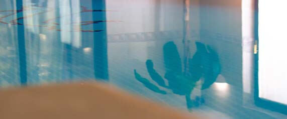 Sensi Baby Swim Sessions