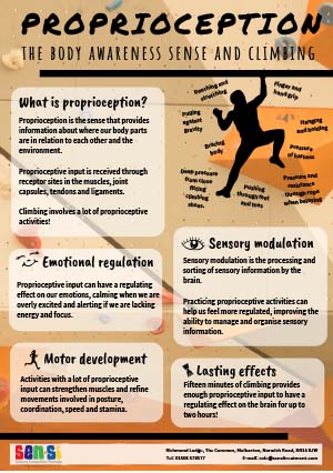proprioception climbing